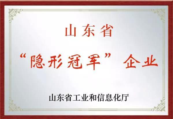 热烈祝贺我公司被认定为2019年市级“专精特新”企业