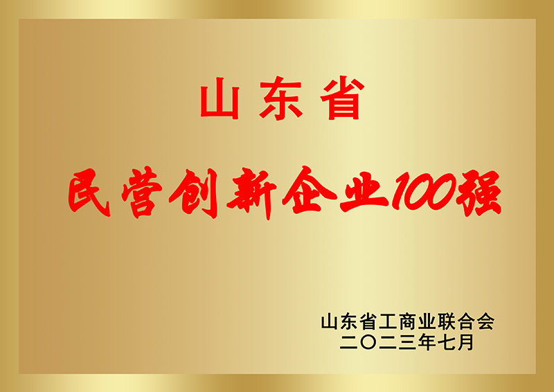 山東省民營企業(yè)創(chuàng)新100強