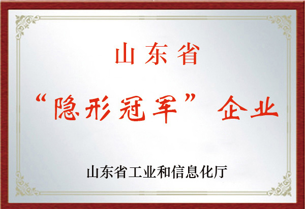 隱形冠軍企業(yè) 隱形冠軍企業(yè)