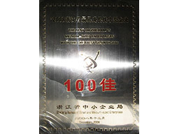 浙江省最具成長性中型企業100佳