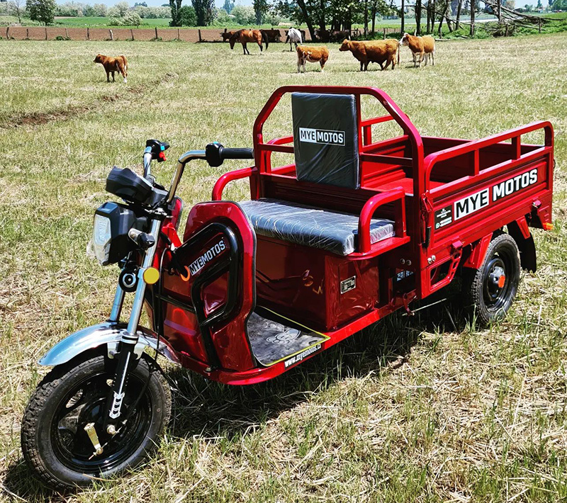 Chile - Electric Cargo Tricycle