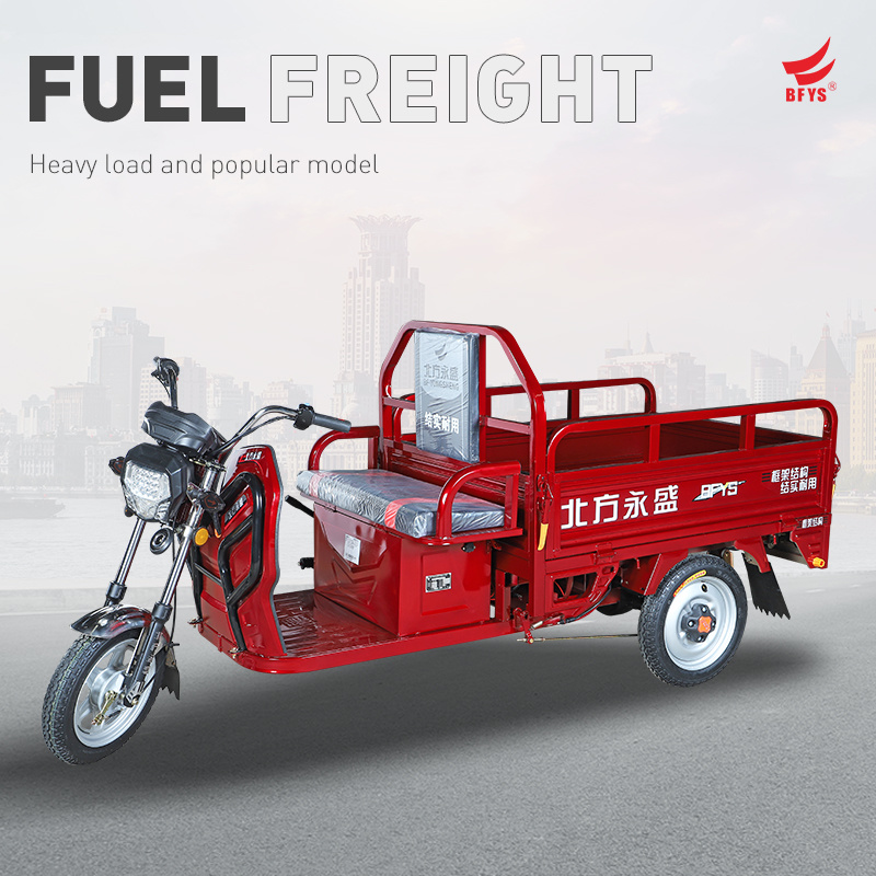 48V650W/60V800W Cheap Electric Tricycle