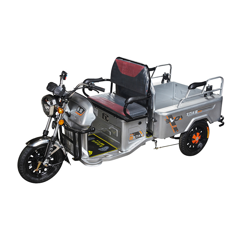 48V500W To 60V650W Cheap Electric Rickshaw
