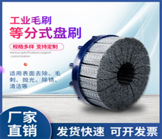 Equally divided disc brush