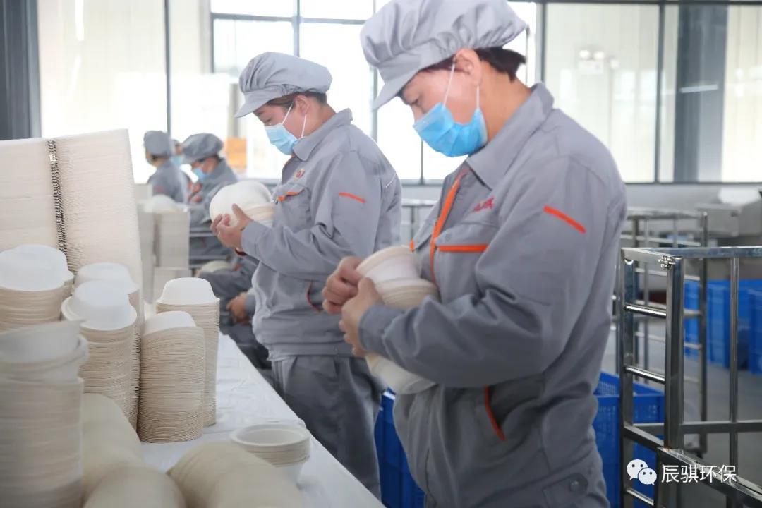 戰疫情 保出口 辰騏產品深受客戶歡迎