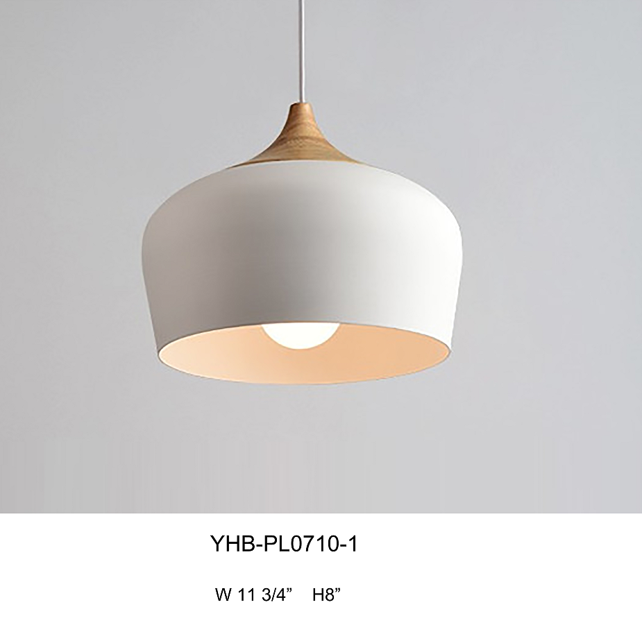Simple wrought iron single pendant lamp