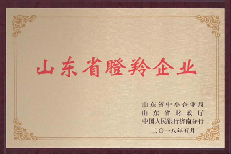 荣誉 荣誉