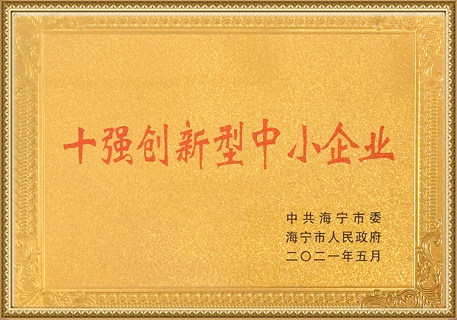 海宁市十强科技创新企业
