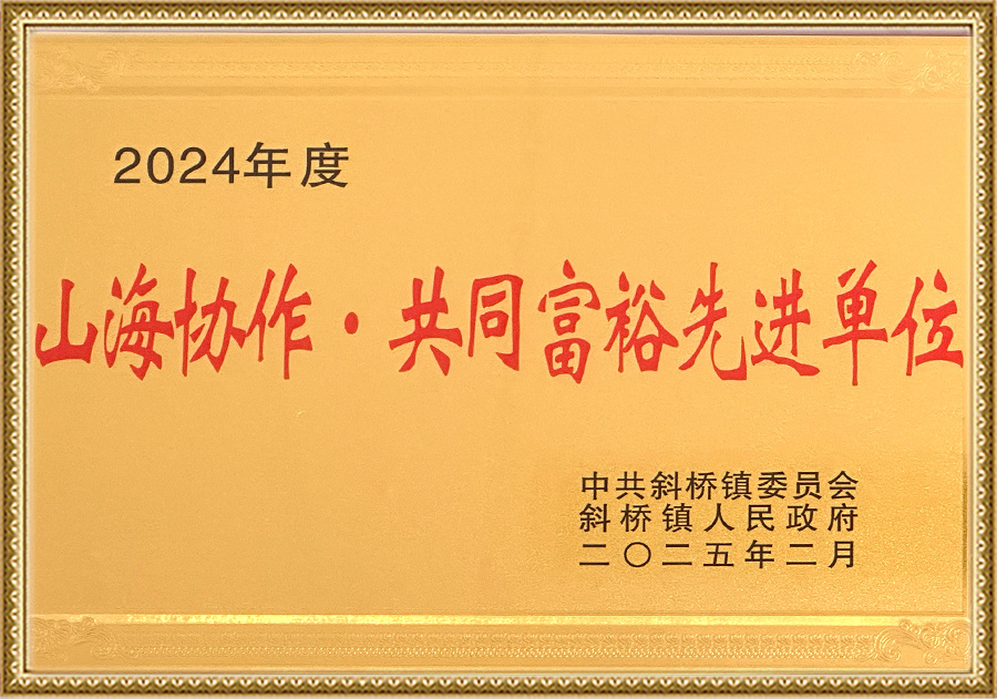 山海协作共同富裕先进单位