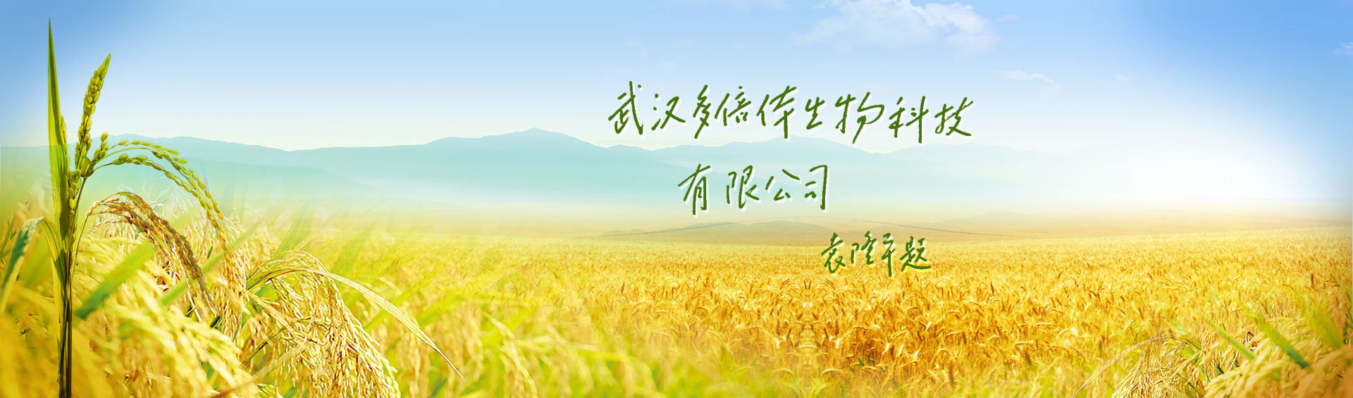 人才招聘