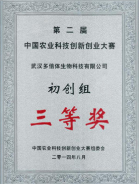 初创组三等奖