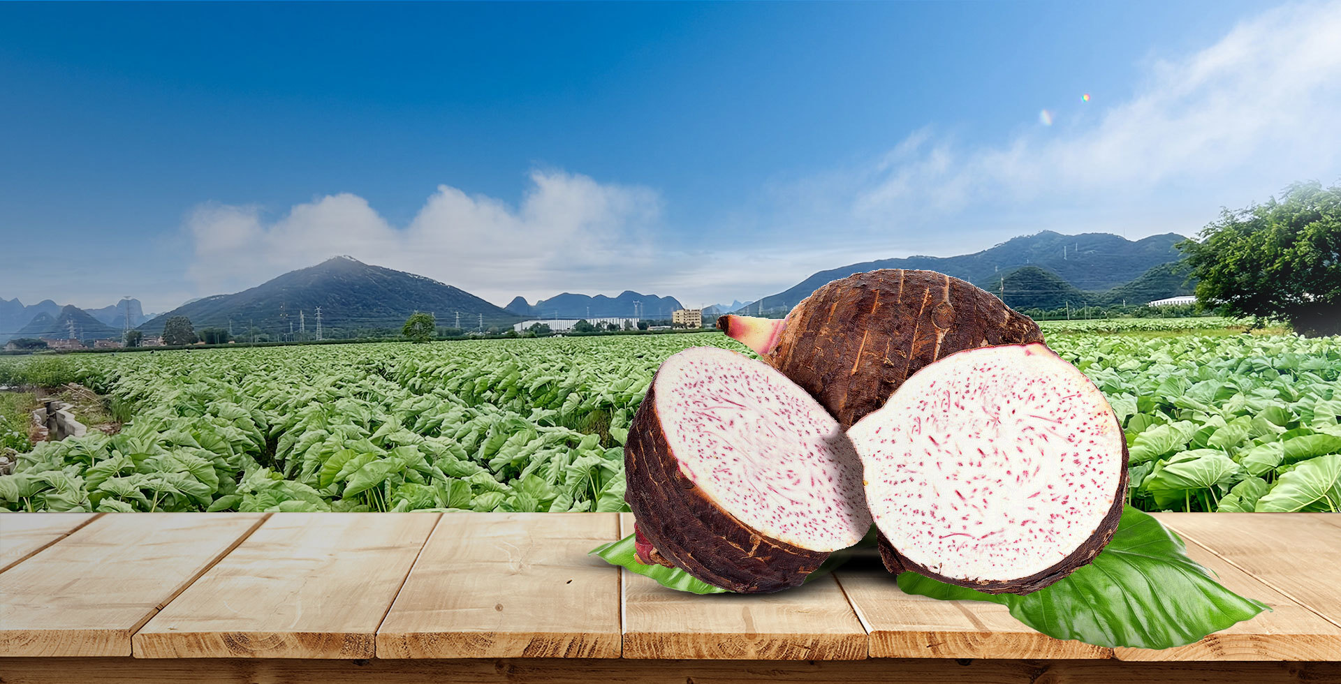 Lipu Taro · Natural and Delicious