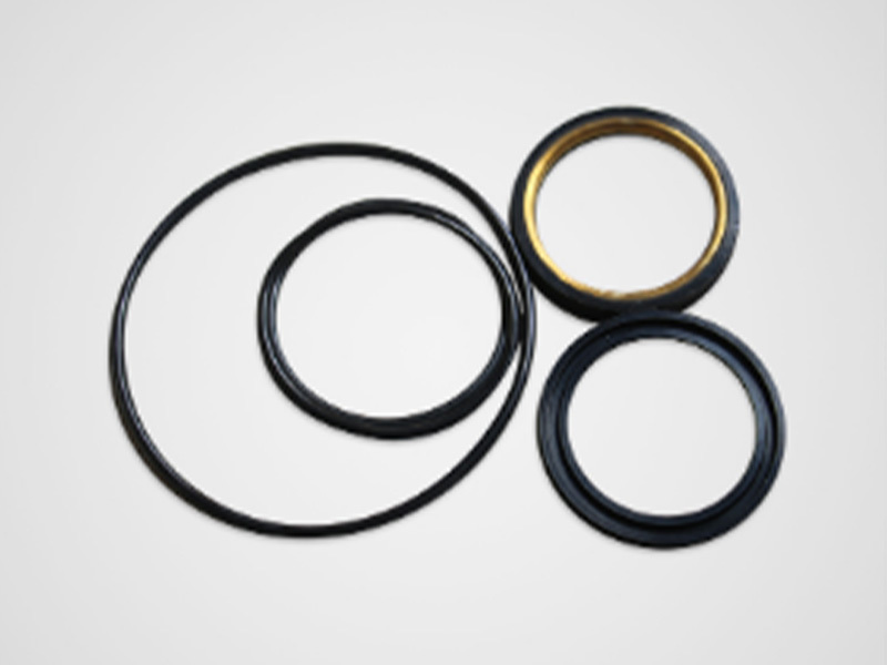 Plunger Valve Seal Package