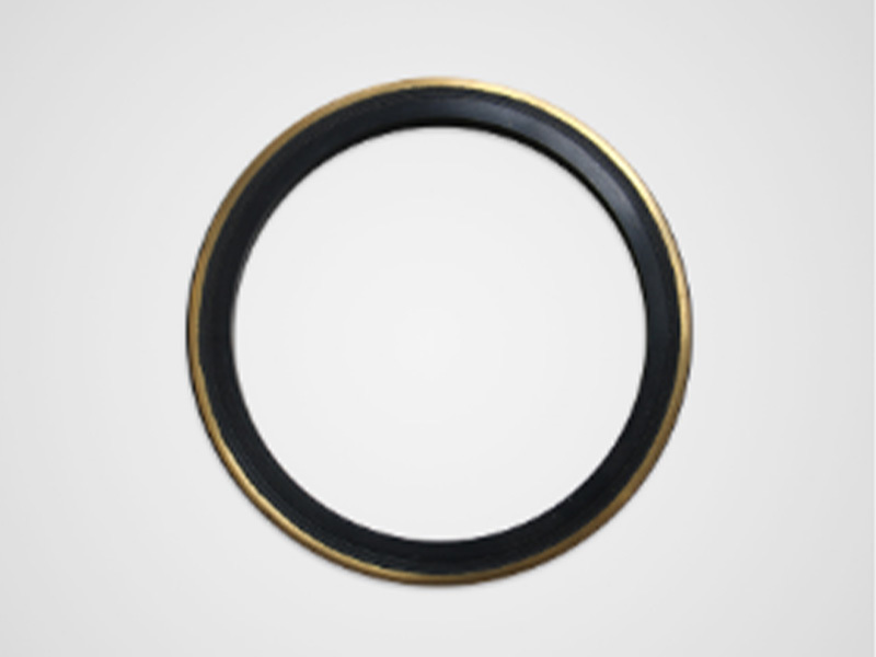 Fig Seal Ring
