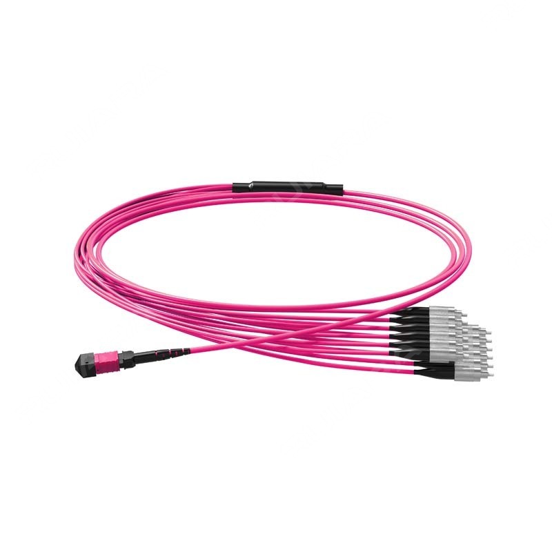 MPO to FC UPC, 16/24 Fibers, OM4