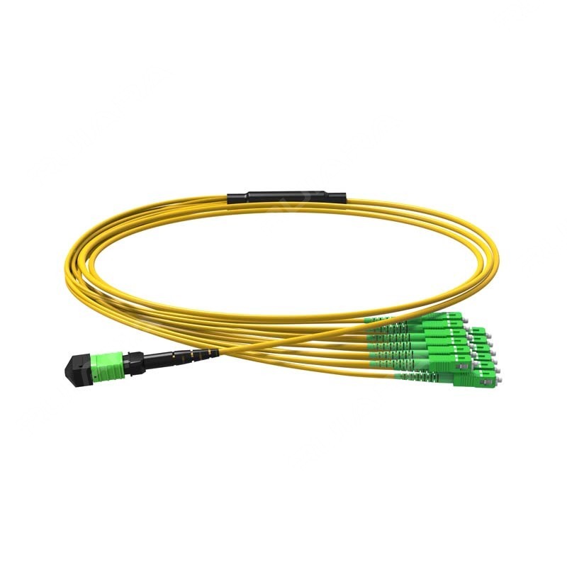 MPO APC to SC APC, 16/24 Fibers, Singlemode (OS2)