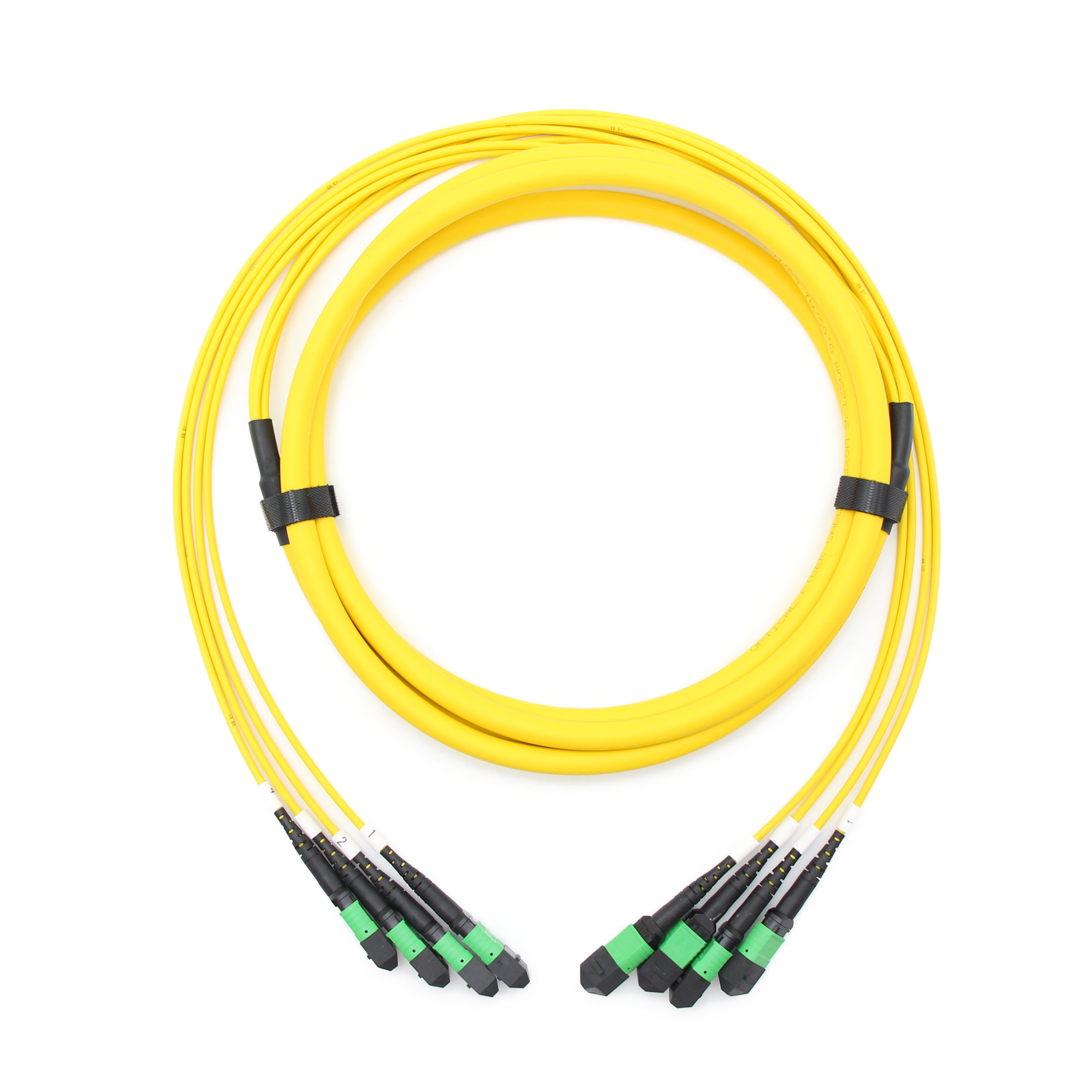 MPO MTP Trunk Cable, MPO-12 UPC to MPO-12 UPC, 48 Fibers, OS2