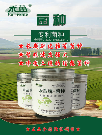 manufacturers manufacturers