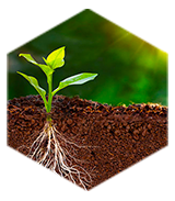 Provide targeted treatment plans and products