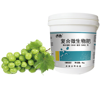 复合微生物肥