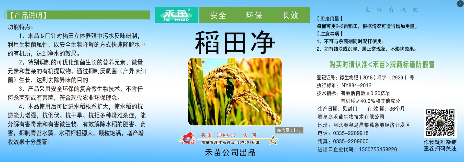 稻田净