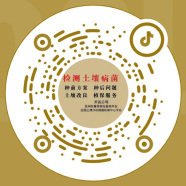 图片名称