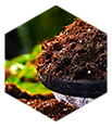 Reception of Visitors for Solving Difficult Soil-related Problems