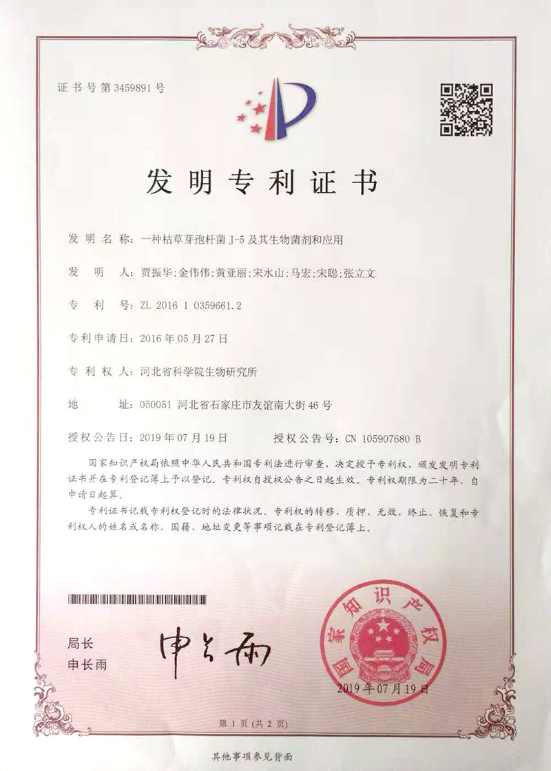 A kind of Bacillus subtilis J-5 and its biological agent and application A kind of Bacillus subtilis J-5 and its biological agent and application