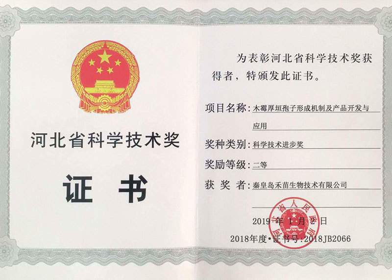 Second prize for science and technology Second prize for science and technology