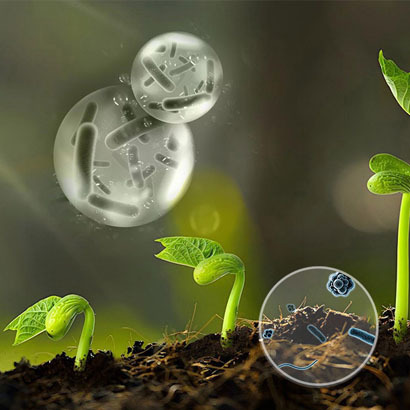 Agriculture