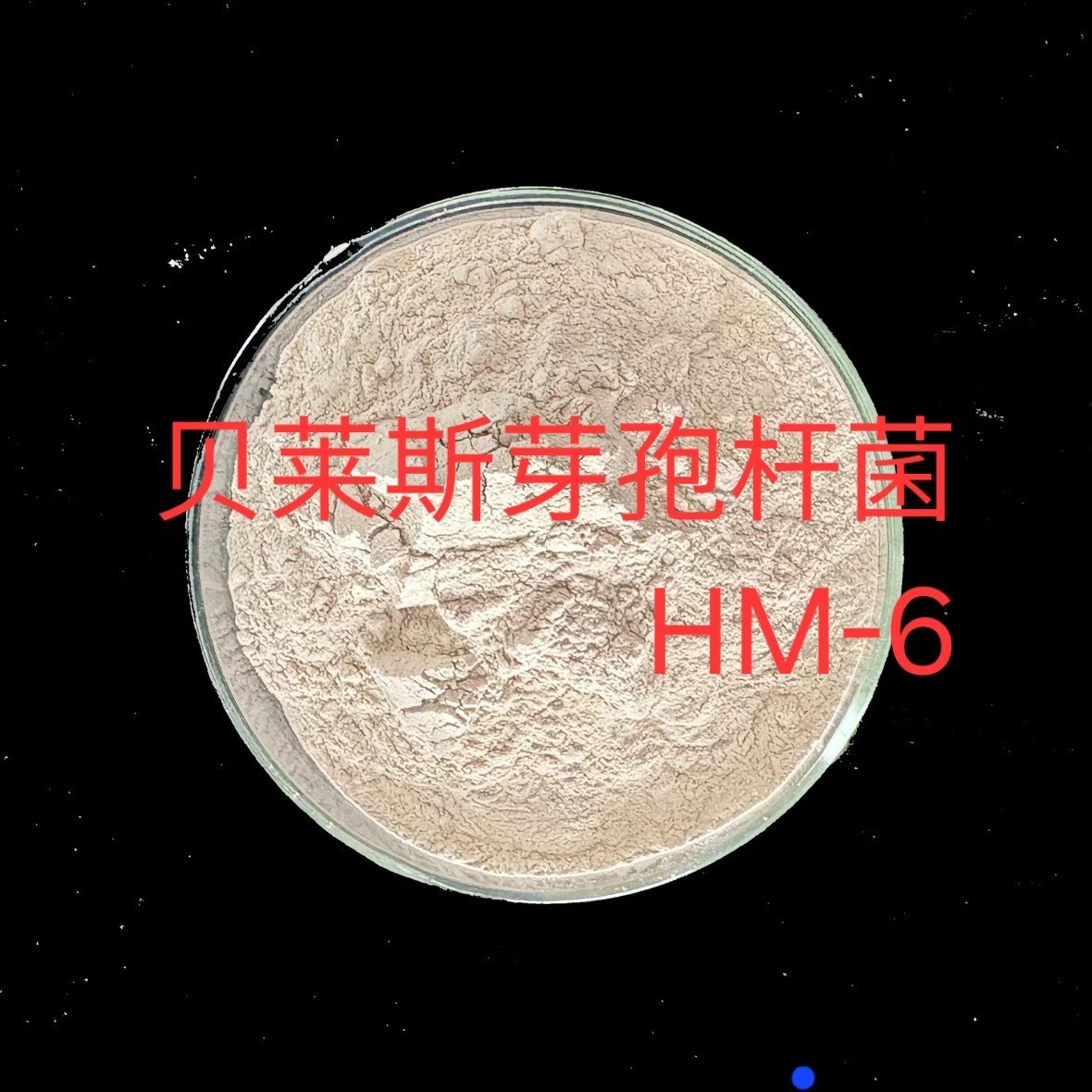 贝莱斯芽孢杆菌HM-6及其应用