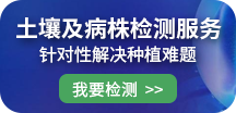 检测服务