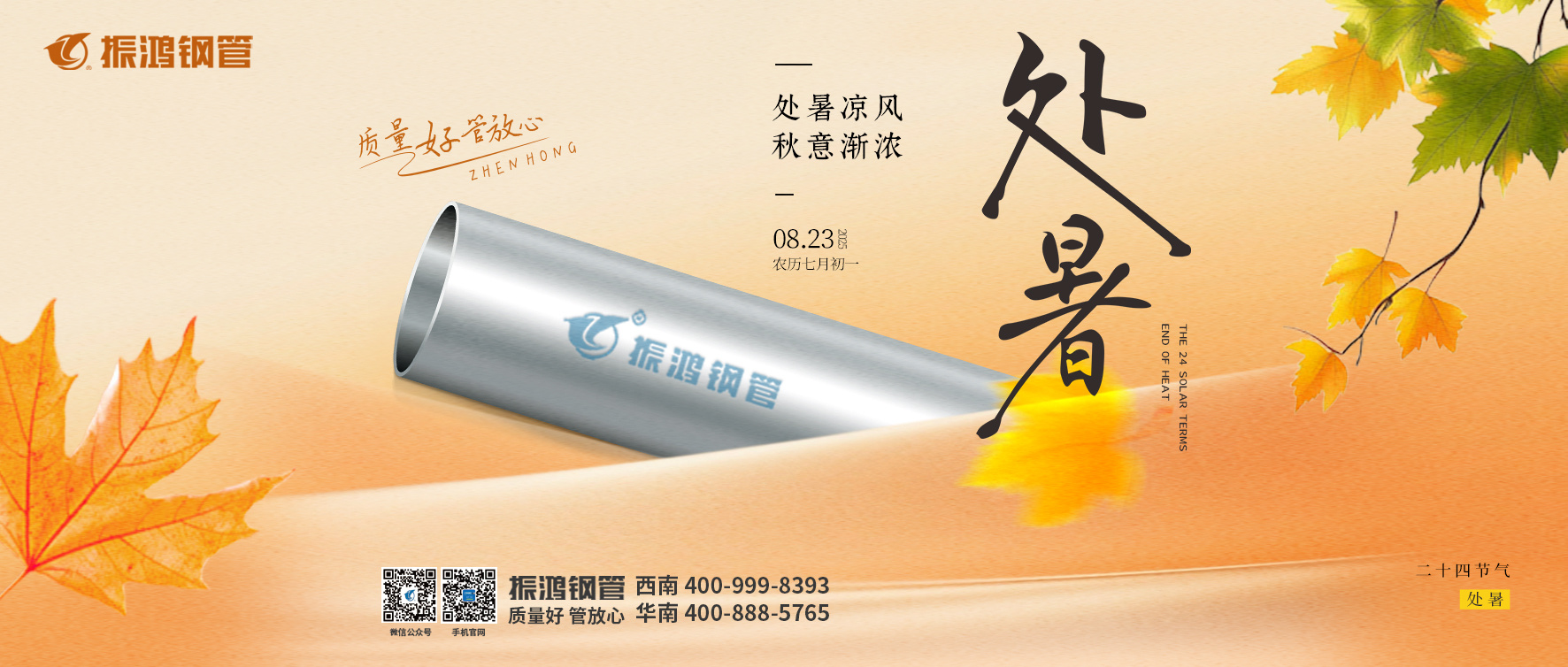 处暑 | 秋风有信 夏蝉作别