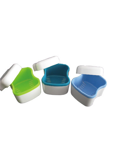 Denture Box with Net
