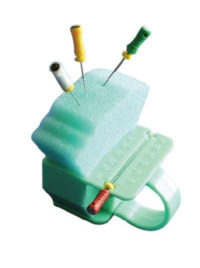 Endo Ring and Cushions