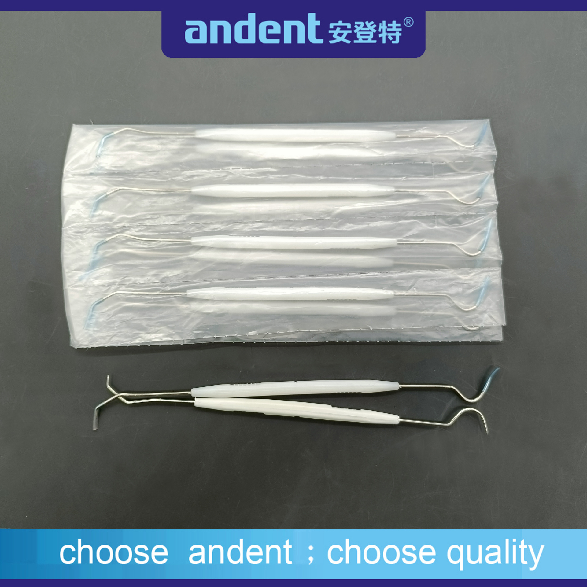 Disposable probe divided bag