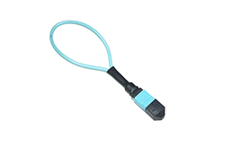 MPOMTP  Loopback (2).png