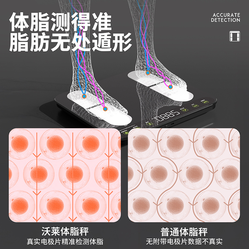 沃莱科技智能四电极体脂秤S101