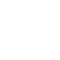 4 Electrodes Scale