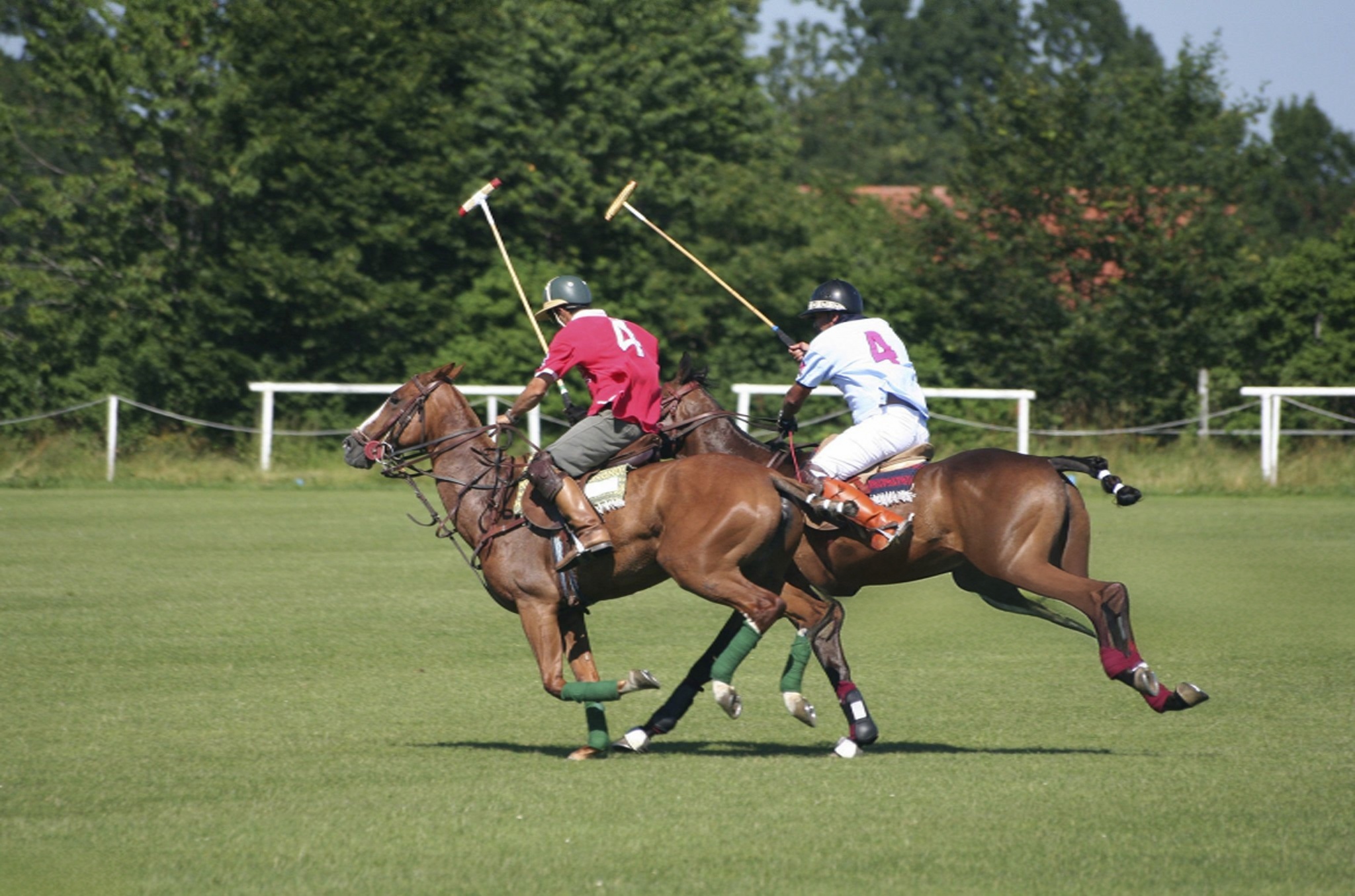 Polo