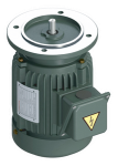 FABMOTOR