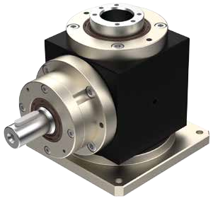 DP1