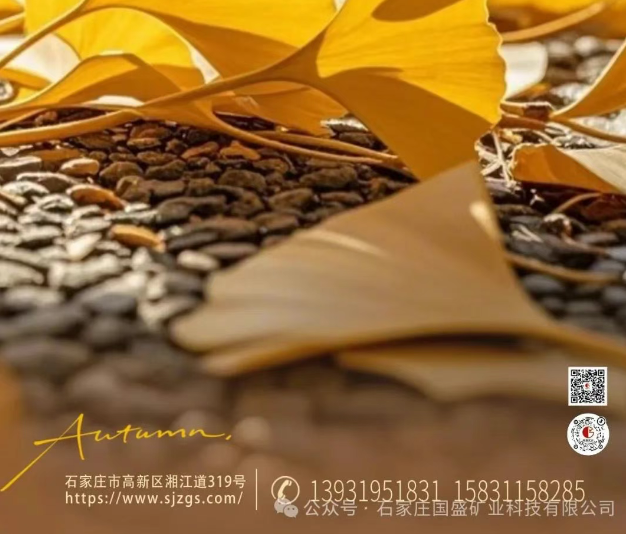 ade98d51e3b21f3a29c0b0c40b4ed9e