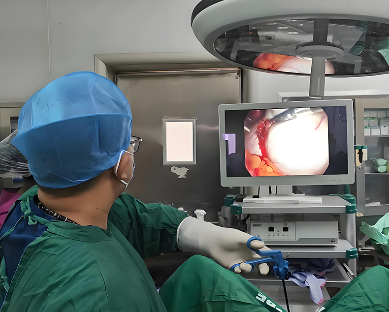 Laparoscopic Program