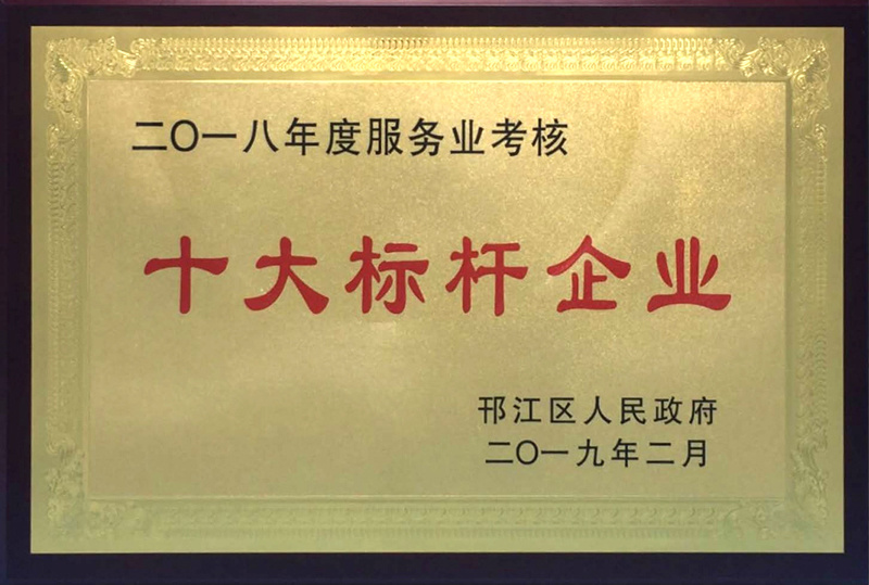 十大標(biāo)桿企業(yè)