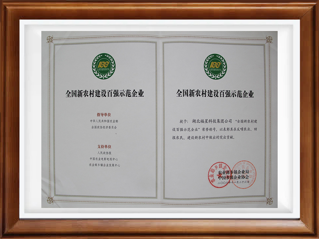 2006年度全国新衣村建设百强示范企业