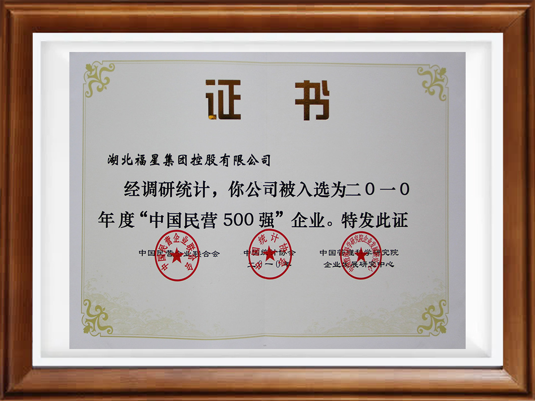 2010年度中国民营500强