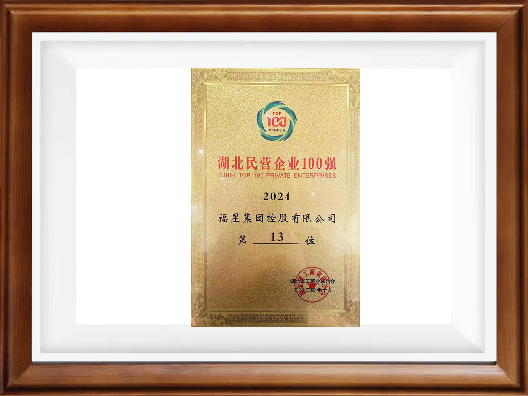 湖北民营企业100强