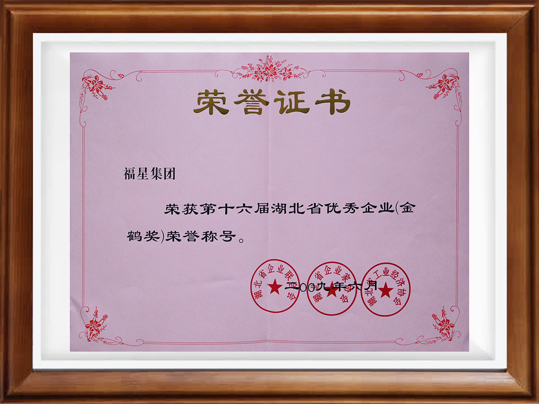 2009年6月第十六届湖北省优秀企业金鹤奖