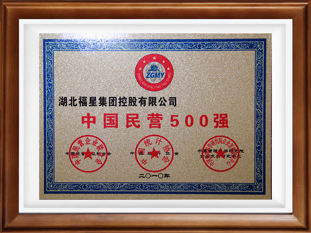 2010年度中国民营500强